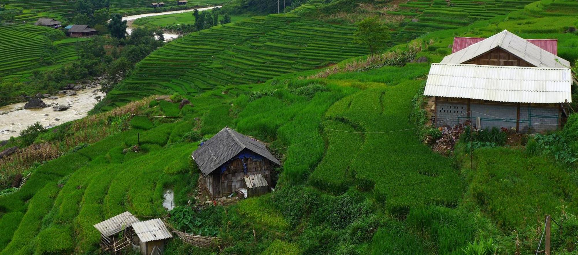 Freedom Homestay & Trekking Sa Pa Extérieur photo