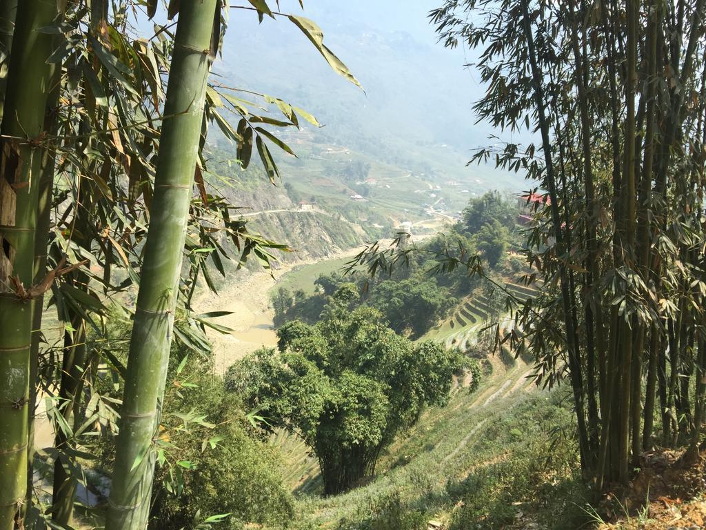 Freedom Homestay & Trekking Sa Pa Extérieur photo