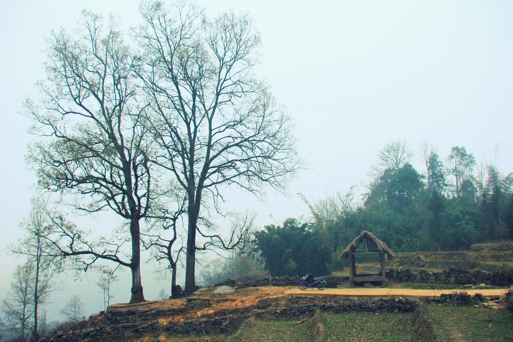 Freedom Homestay & Trekking Sa Pa Extérieur photo