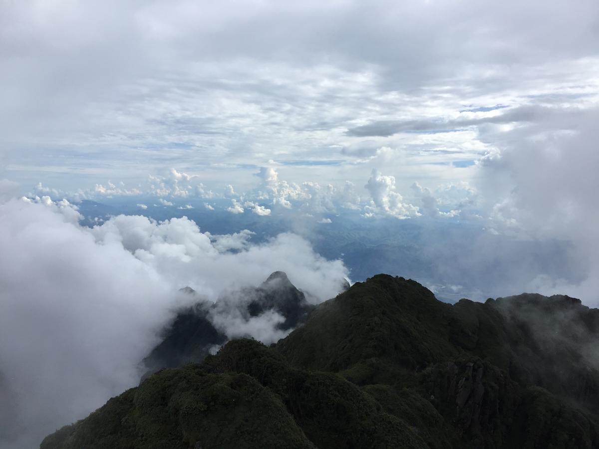 Freedom Homestay & Trekking Sa Pa Extérieur photo